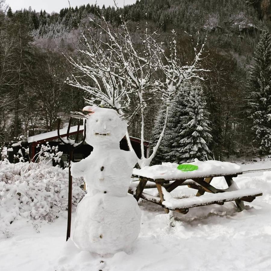 Nant D Ant Apartment Samoens Luaran gambar