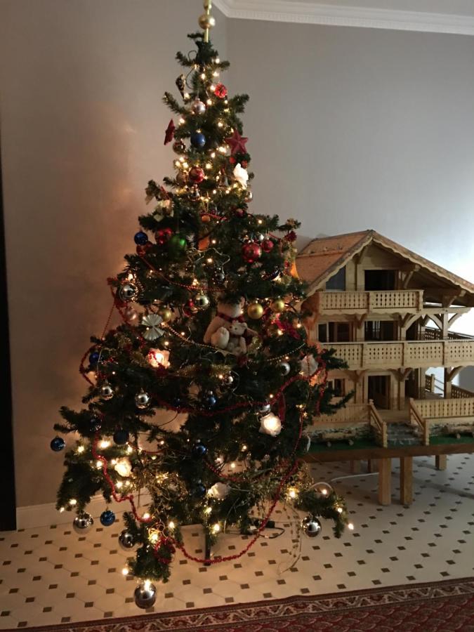 Nant D Ant Apartment Samoens Luaran gambar